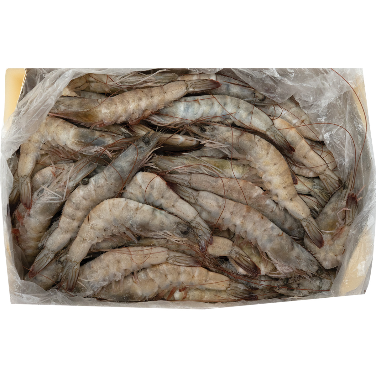 Shrimp & Prawn Wholesale & Bulk | U.S. Trading Company